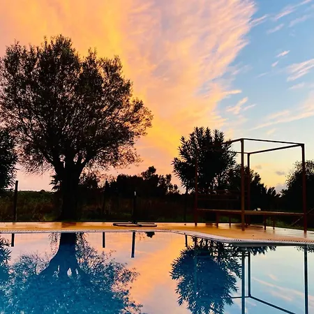 Olive Villa Alcantarilha
